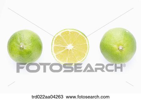 The whole limes and a lime in half View Large Photo Image Stock Image - The whole limes and a lime in half. Fotosearch