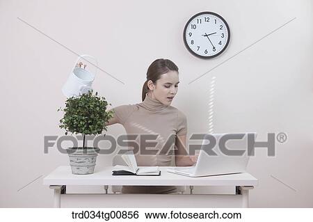 Stock Photograph - The woman watering the plant in the office. Fotosearch