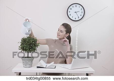 Stock Photography - The woman watering the plant in the office. Fotosearch