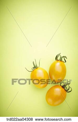 The yellow cherry tomatoes with the green background View Large Photo Image Stock Photo - The yellow cherry tomatoes with the green background. Fotosearch
