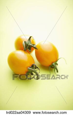 Stock Photo - The yellow cherry tomatoes with the green background. Fotosearch