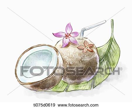 Stock Illustration - Coconut juice. Fotosearch