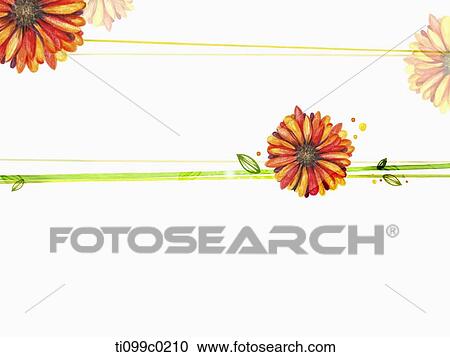 Orange mum flower View Large Illustration Clipart - Orange mum flower . Fotosearch