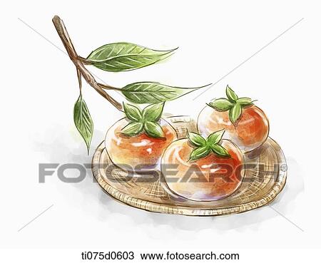 Persimmon View Large Illustration Drawing - Persimmon . Fotosearch