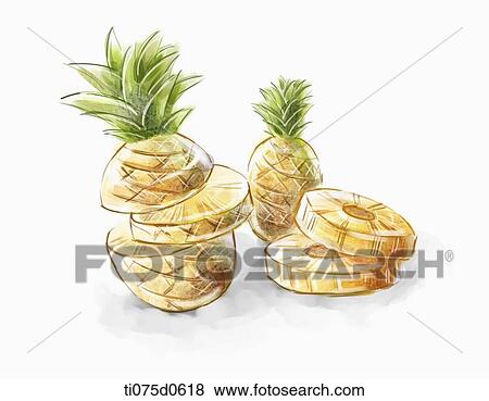Stock Illustration - Sliced pineapple . Fotosearch