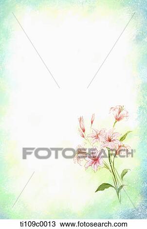 The pink flower with blue background View Large Illustration Drawing - The pink flower with blue background. Fotosearch