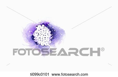 The white flower bouquet with purple background View Large Illustration Clip Art - The white flower bouquet with purple background. Fotosearch