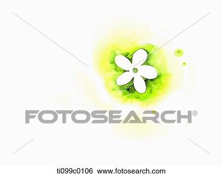The white flower with yellow and green background View Large Illustration Stock Illustration - The white flower with yellow and green background. Fotosearch