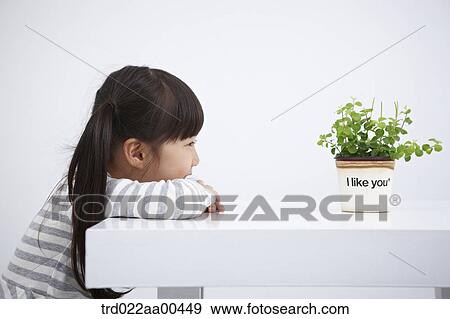 Stock Photo - A girl looking at green plant. Fotosearch