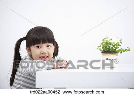 A girl with green plant on the table View Large Photo Image Stock Image - A girl with green plant on the table. Fotosearch