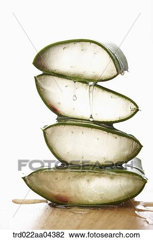 Sliced aloe View Large Photo Image Stock Image - Sliced aloe . Fotosearch