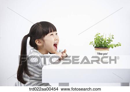 Smiling girl with green plant on the table View Large Photo Image Picture - Smiling girl with green plant on the table. Fotosearch