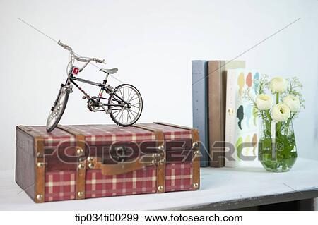 The bicycle on the suit case, book, and flower View Large Photo Image Stock Photo - The bicycle on the suit case, book, and flower . Fotosearch