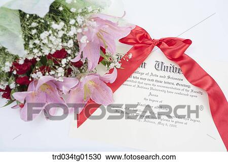 The diploma and the bouquet of flower View Large Photo Image Stock Image - The diploma and the bouquet of flower. Fotosearch