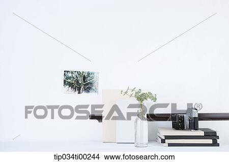 The film, books, green plant, and camera View Large Photo Image Picture - The film, books, green plant, and camera. Fotosearch