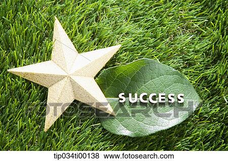 The gold star and 'SUCCESS' on the green leaf View Large Photo Image Stock Photo - The gold star and 'SUCCESS' on the green leaf. Fotosearch