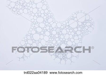 The gray circular micro-organism View Large Photo Image Stock Photo - The gray circular micro-organism. Fotosearch