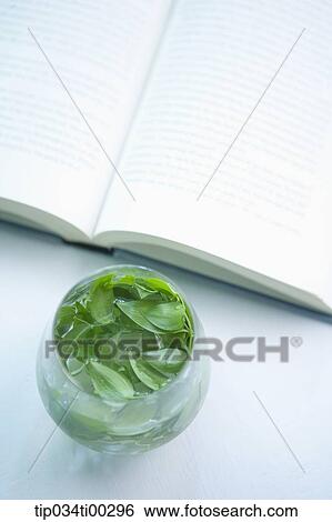 Stock Photograph - The green leaves in glass and the book. Fotosearch