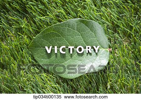 The 'VICTORY' on the green leaf View Large Photo Image Stock Photography - The 'VICTORY' on the green leaf. Fotosearch