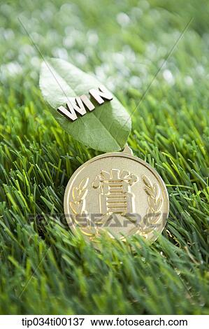 The 'WIN' on the green leaf and golden medal View Large Photo Image Stock Photo - The 'WIN' on the green leaf and golden medal. Fotosearch
