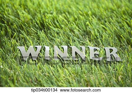Picture - The 'WINNER' on the grass. Fotosearch