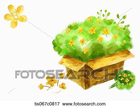 A イラスト の A ブッシュ 中に A 箱 イラスト Tis067c0817 Fotosearch