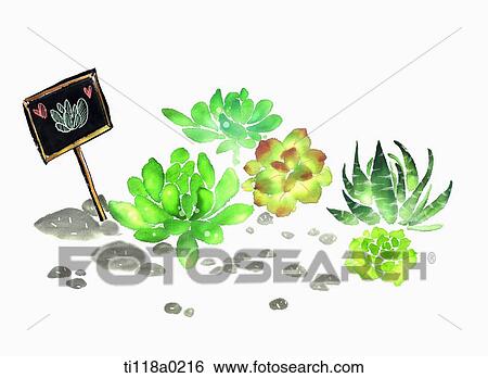Stock Illustration - A illustration of blackboard sign fixed in a plant garden. Fotosearch