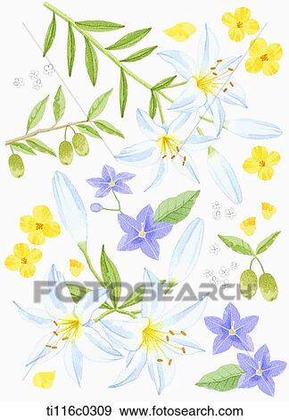 Stock Illustration - A painting of blue and yellow flowers. Fotosearch