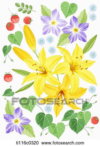 Clipart - A painting of illy. Fotosearch