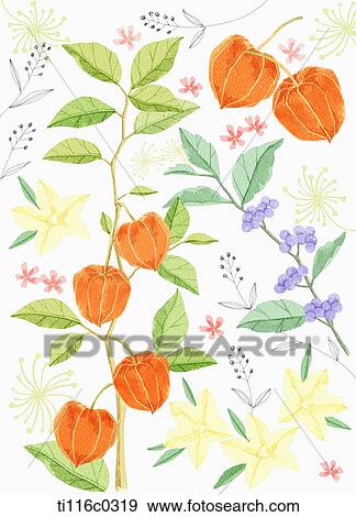 A painting of orange flower View Large Illustration Stock Illustration - A painting of orange flower. Fotosearch