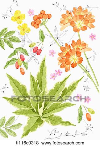 A painting of orange flowers with orange berries View Large Illustration Stock Illustration - A painting of orange flowers with orange berries. Fotosearch