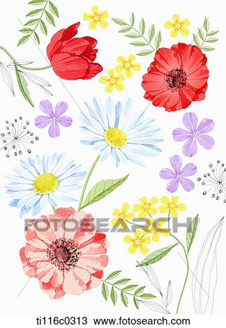 A painting of red flowers and yellow flowers View Large Illustration Drawing - A painting of red flowers and yellow flowers. Fotosearch