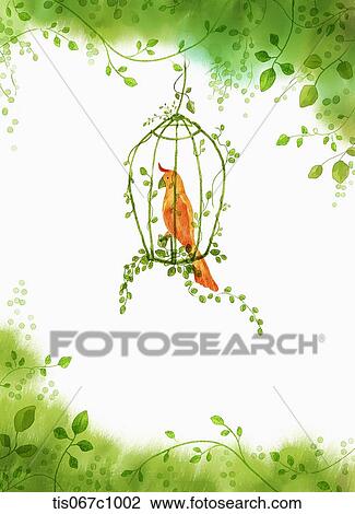 A paper design of a parrot in a cage View Large Illustration Drawing - A paper design of a parrot in a cage. Fotosearch