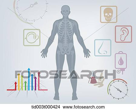 Stock Illustration - Diagram illustration about structure of the human body. Fotosearch