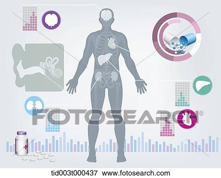 Stock Illustration - Diagram illustration about structure of the human body. Fotosearch