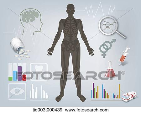 Stock Illustration - Diagram illustration about structure of the human body. Fotosearch