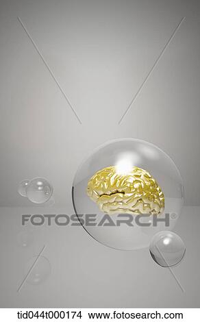 golden brain in a transparent sphere View Large Illustration Stock Illustration - golden brain in a transparent sphere . Fotosearch