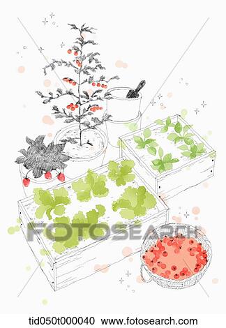 green plant in the pots View Large Illustration Clipart - green plant in the pots. Fotosearch