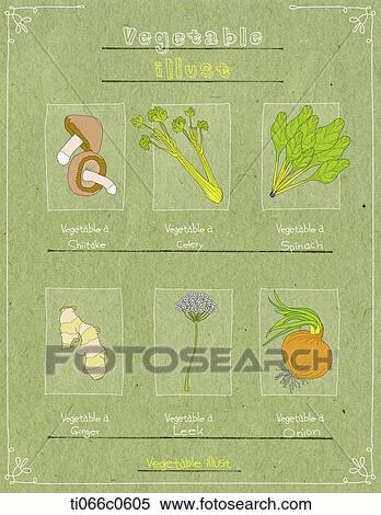 healthy vegetable illustrations View Large Illustration Stock Illustration - healthy vegetable illustrations. Fotosearch