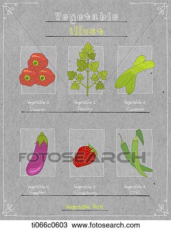 Drawing - illustration of paprica, parsley, cucumber, eggplant, strawberry, chili. Fotosearch