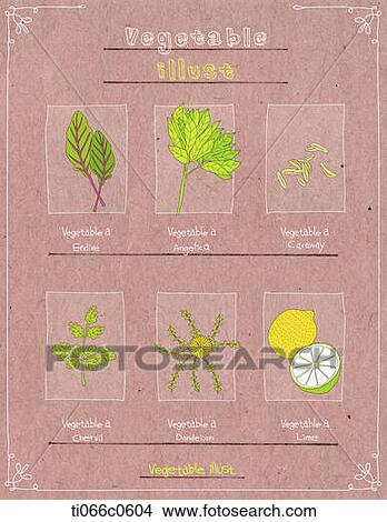 Stock Illustration - illustrations of different plants and a lime. Fotosearch