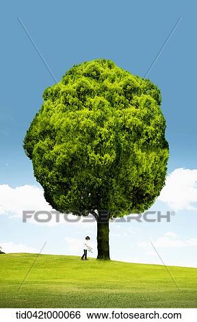 kid standing under the big tree on the hill View Large Illustration Stock Illustration - kid standing under the big tree on the hill. Fotosearch