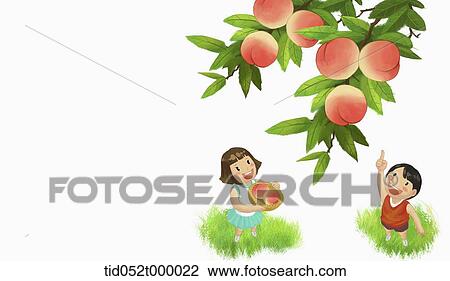 Drawing - kids looking up peach on the tree. Fotosearch