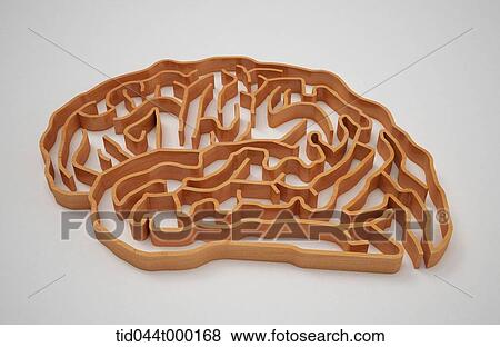 maze with a shape of human brain View Large Illustration Stock Illustration - maze with a shape of human brain . Fotosearch