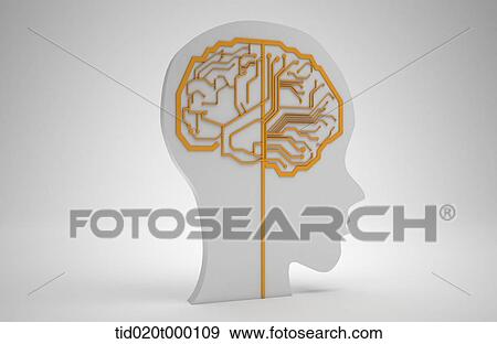 structure of cranial nerve View Large Illustration Stock Illustration - structure of cranial nerve. Fotosearch