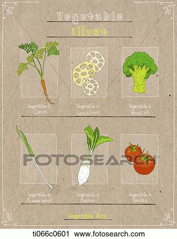 Clip Art - vegetable illustrations in brown background. Fotosearch