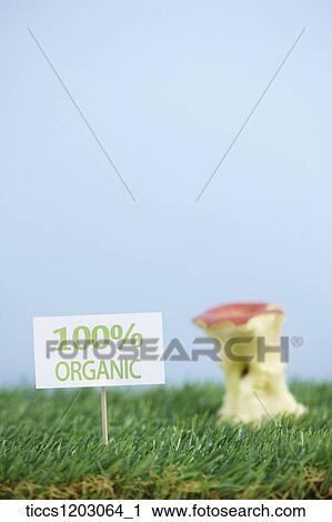 100 percent organic sign put on a grass next to a leftover bit of an apple View Large Photo Image Stock Image - 100 percent organic sign put on a grass next to a leftover bit of an apple. Fotosearch