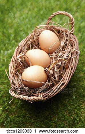 Stock Image - A basket of eggs on a grass. Fotosearch