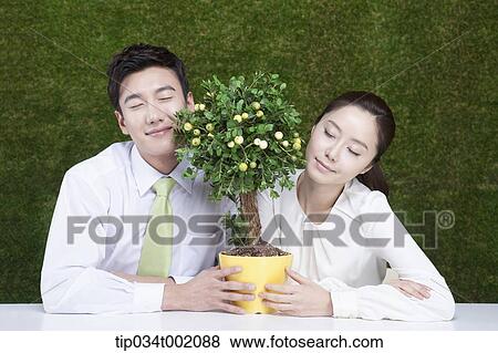 a couple holding tree pot in the table View Large Photo Image Stock Photo - a couple holding tree pot in the table. Fotosearch