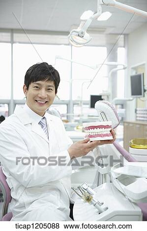 Stock Photo - A dentist holding a false teeth in his hand in dental treatment room. Fotosearch